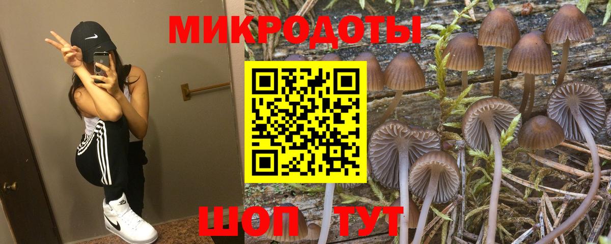 Псилоцибиновые грибы Psilocybine cubensis  Вход с VPN  Сарапул 